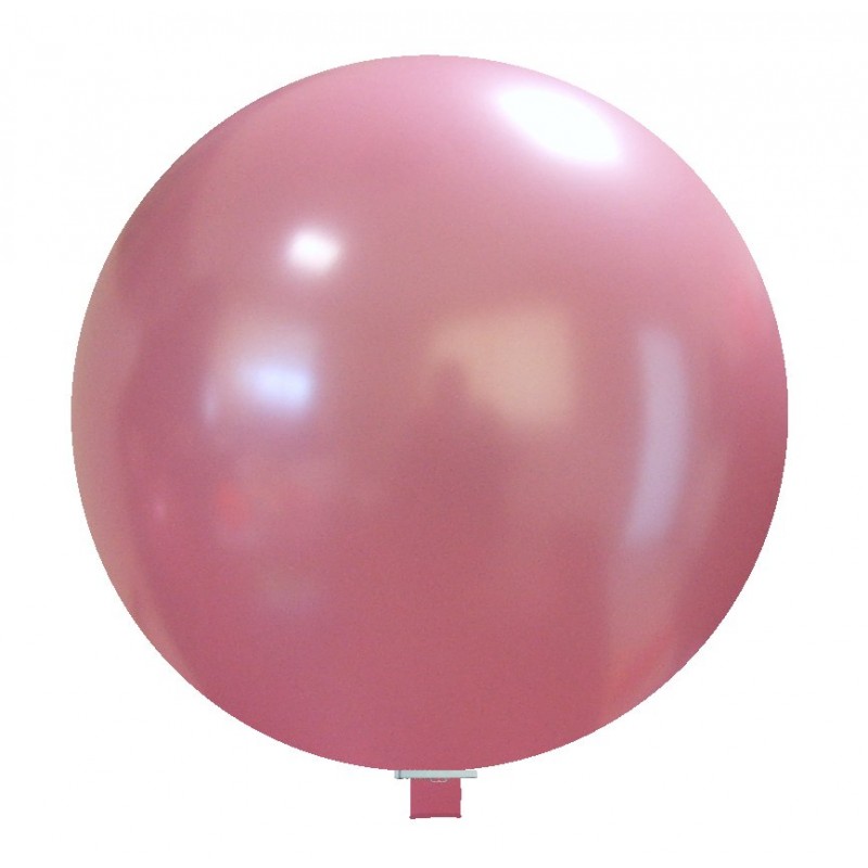 Rosa 25